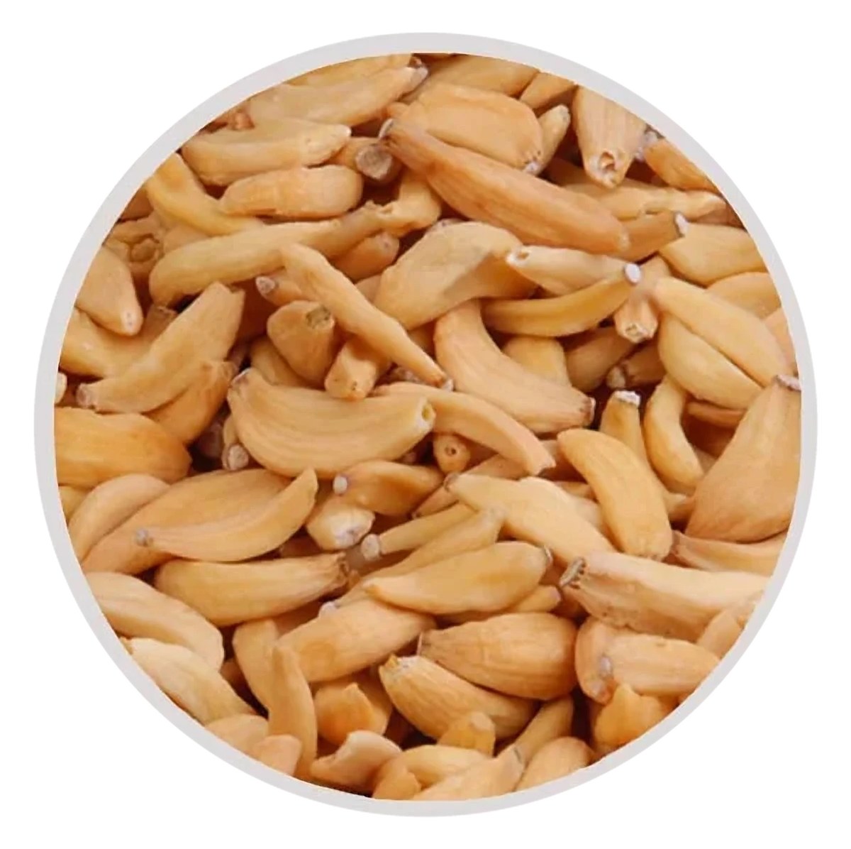 Dehydrated garlic representative product photograph