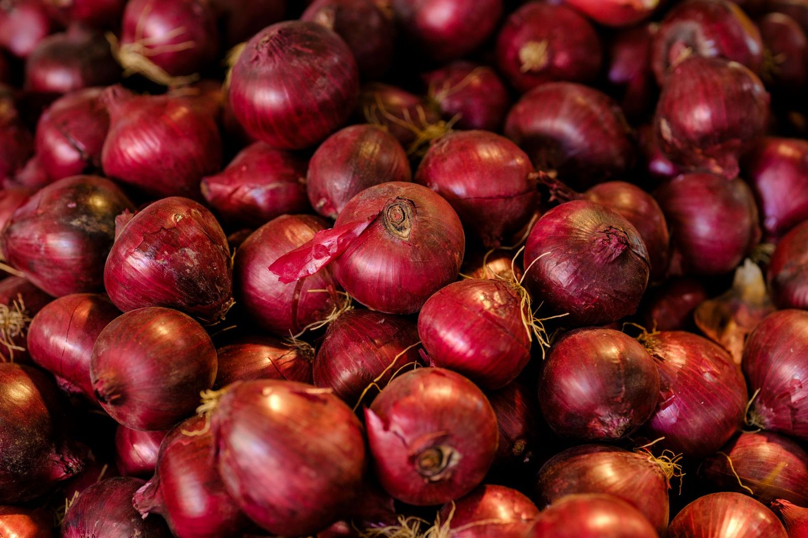 Fresh red onion representative product photograph