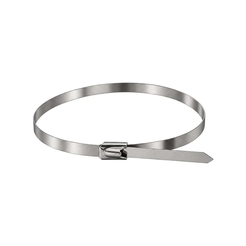 Stainless steel cable ties