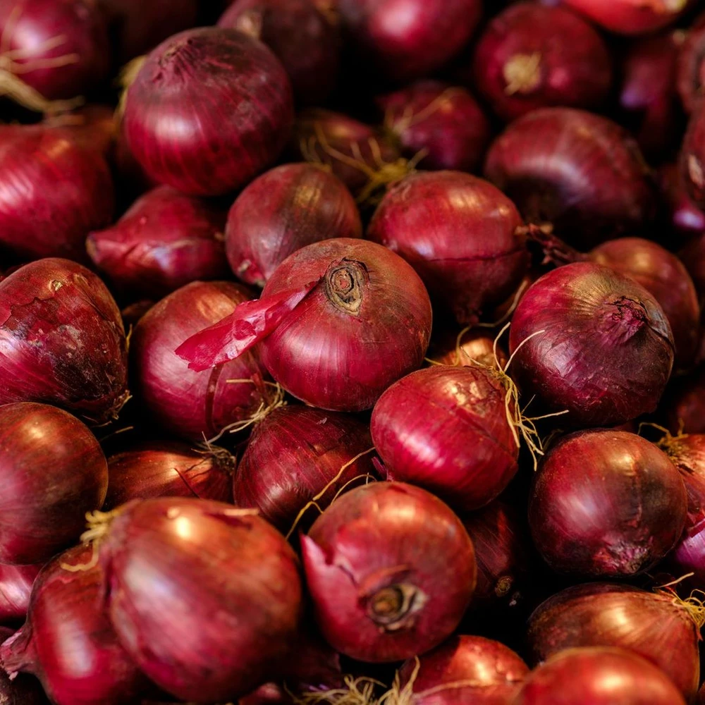 Fresh red onion